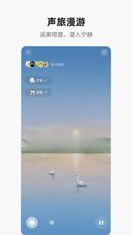 梵花田预览图