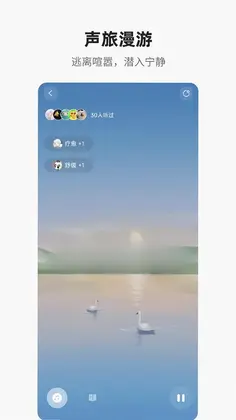梵花田预览图