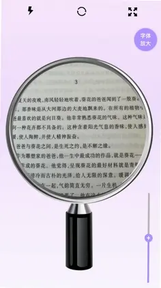 �Ŵ�ϸ���׿�Ԥ��ͼ