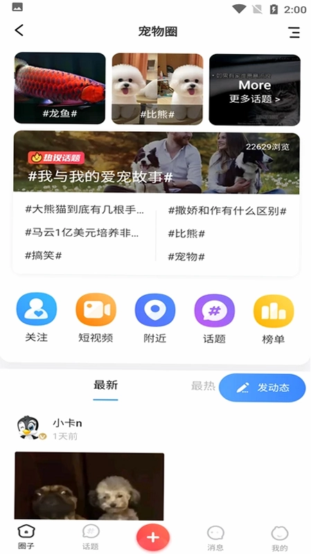 同城宠物预览图