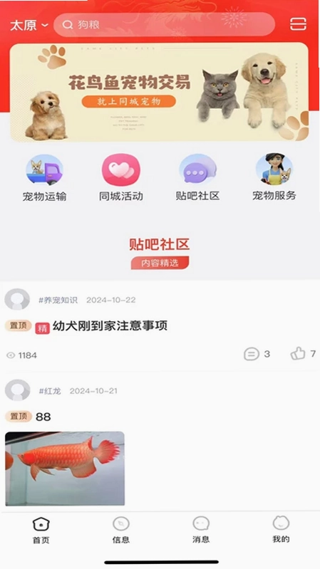 同城宠物预览图