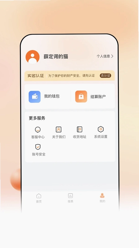 享电宝合伙人预览图