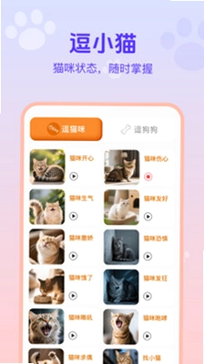 è�����ｻ������Ԥ��ͼ