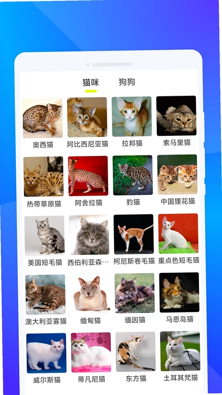 快文扫描预览图