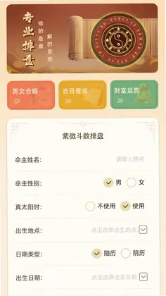紫微斗数排盘预览图