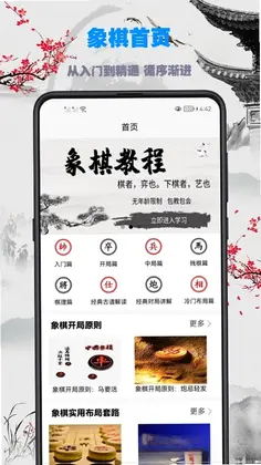 象棋教程官方版预览图