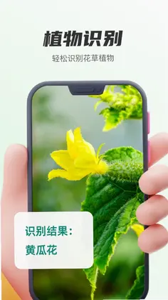 ֲ��ʶ����Ԥ��ͼ