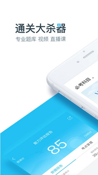 大书法家预览图