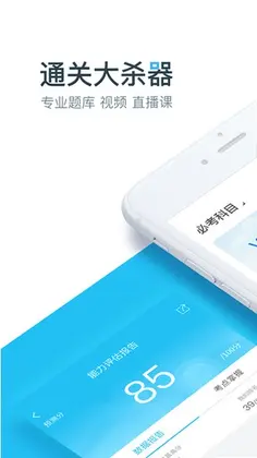 大书法家预览图