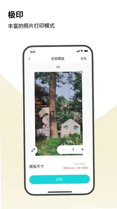 极印预览图