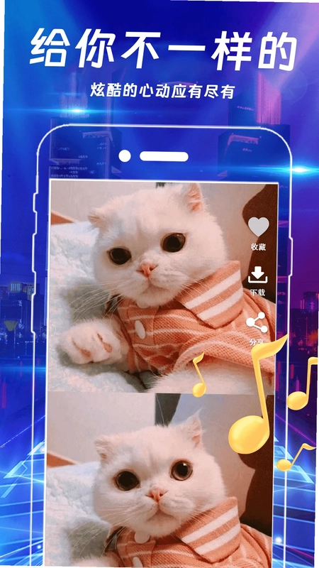 铃声大全Mix视频来电秀预览图