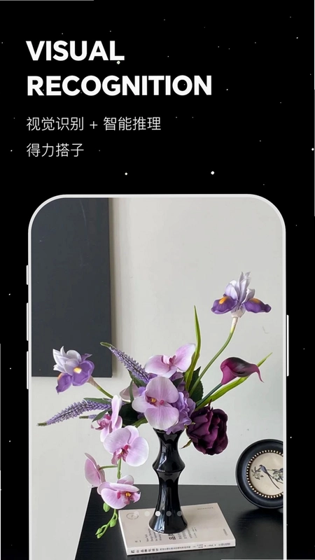 合小十官方版预览图