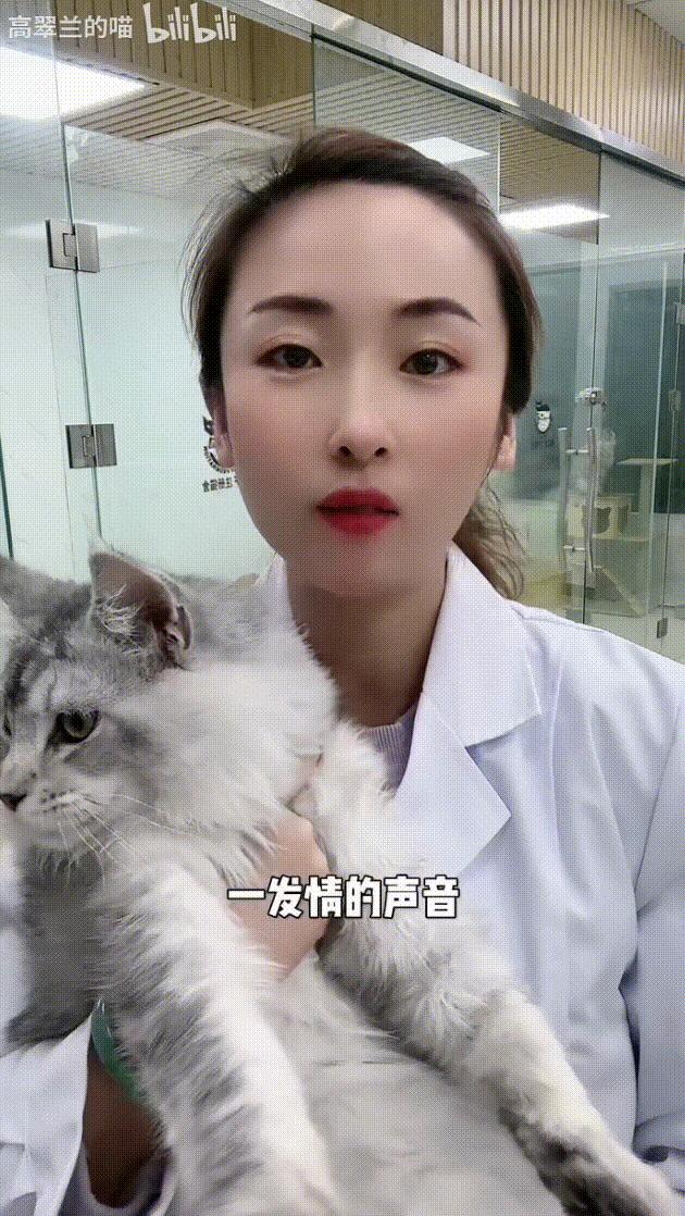 容猫教你在现场判断猫咪性格是否亲人