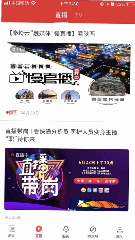 爱神木预览图