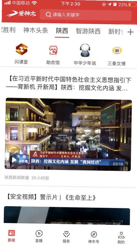 爱神木预览图