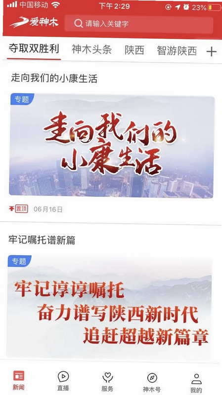 爱神木预览图