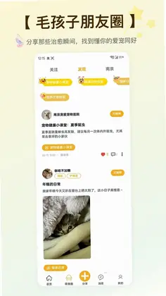 Hifurkid预览图