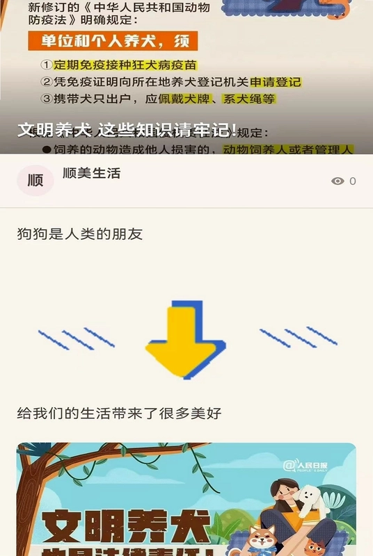 ˳������Ԥ��ͼ
