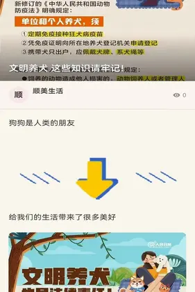 ˳������Ԥ��ͼ