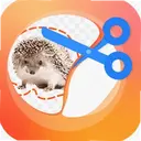 ��ͼPͼ��ʦ3.3 ��׿��