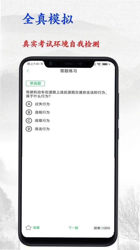 驾考大师预览图