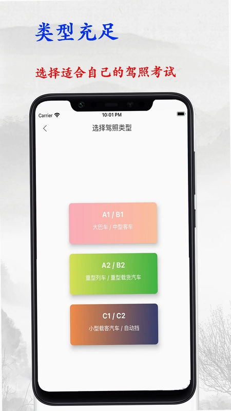 驾考大师预览图