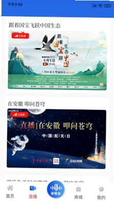 观淮预览图