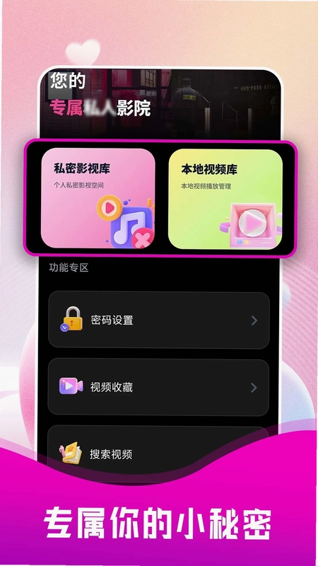 隐私全面播放器预览图