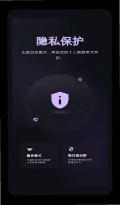 小果速传浏览器预览图
