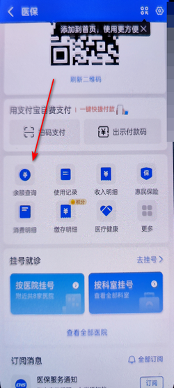 掌上七星关医保余额查询结果页面