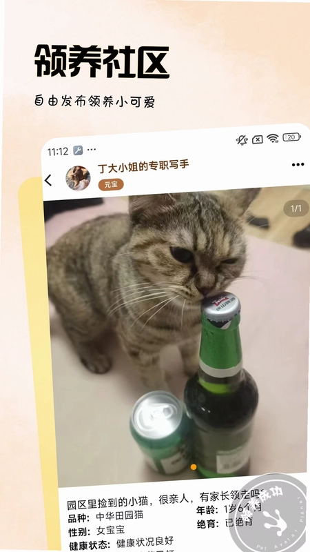 ��������Ԥ��ͼ