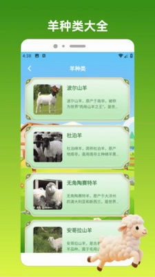 ����С��appԤ��ͼ