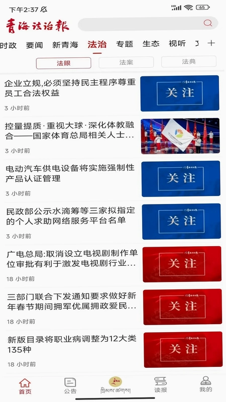 法眼预览图