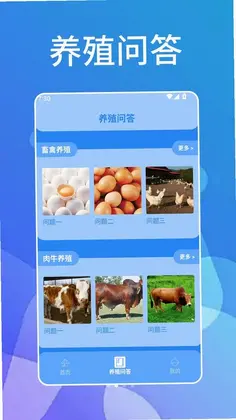 ȫ��������Ԥ��ͼ