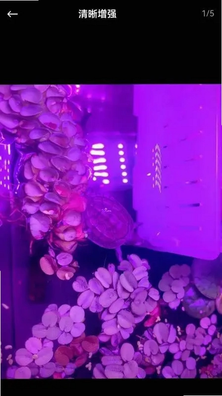 芯图相册预览图