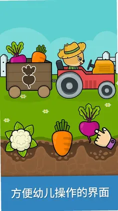 比米布逻辑培养预览图