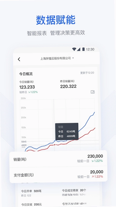 胖猫云预览图