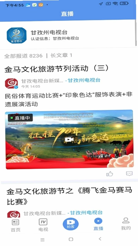 善地德格预览图