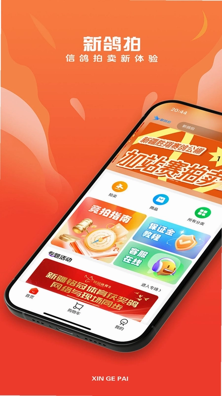 新鸽拍预览图