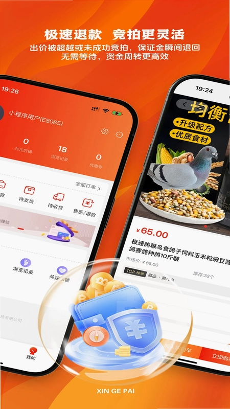 新鸽拍预览图