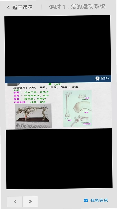 农梓学校预览图