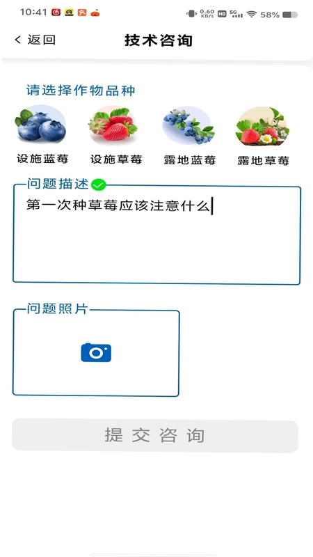 凤凰农云预览图