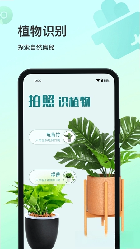 花卉识别预览图