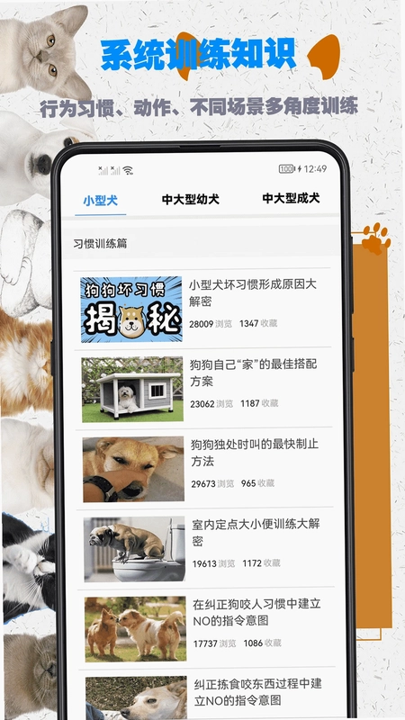 训狗教程预览图