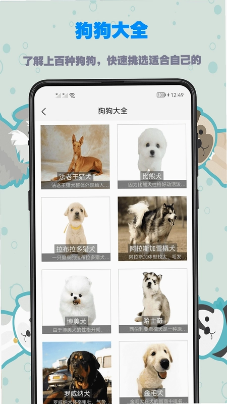 训狗教程预览图