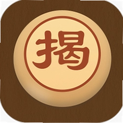 象棋揭棋