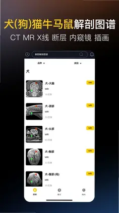 兽医解剖图谱预览图