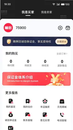 ����appԤ��ͼ