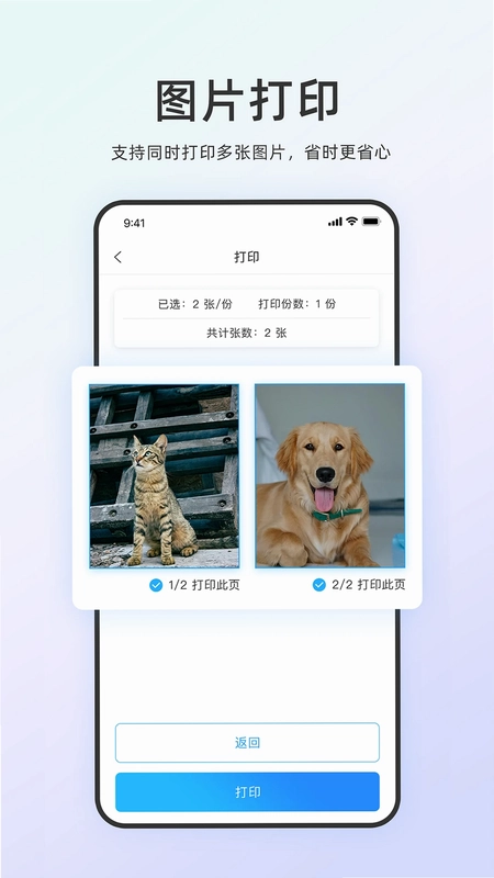 链科云打印预览图