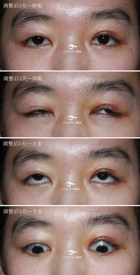 文识OCR文件扫描安装设置界面示意